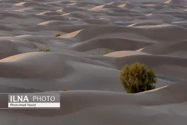 نجات ۳ گمشده در کویر آرادان