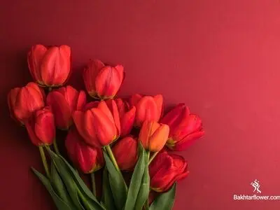 چگونه با دسته گل‌ها احساسات خود را بیان کنیم؟