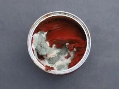 نکاتی که باید در مورد کپک رب ، آبغوره و ترشی بدانید