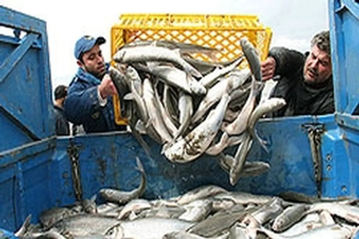 ۳۷۰۰ نفر با حفظ کاربری چاه نیمه چهارم شاغل می مانند