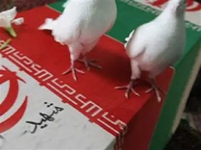 شهادت مامور نیروی انتظامی دربابلسر 
