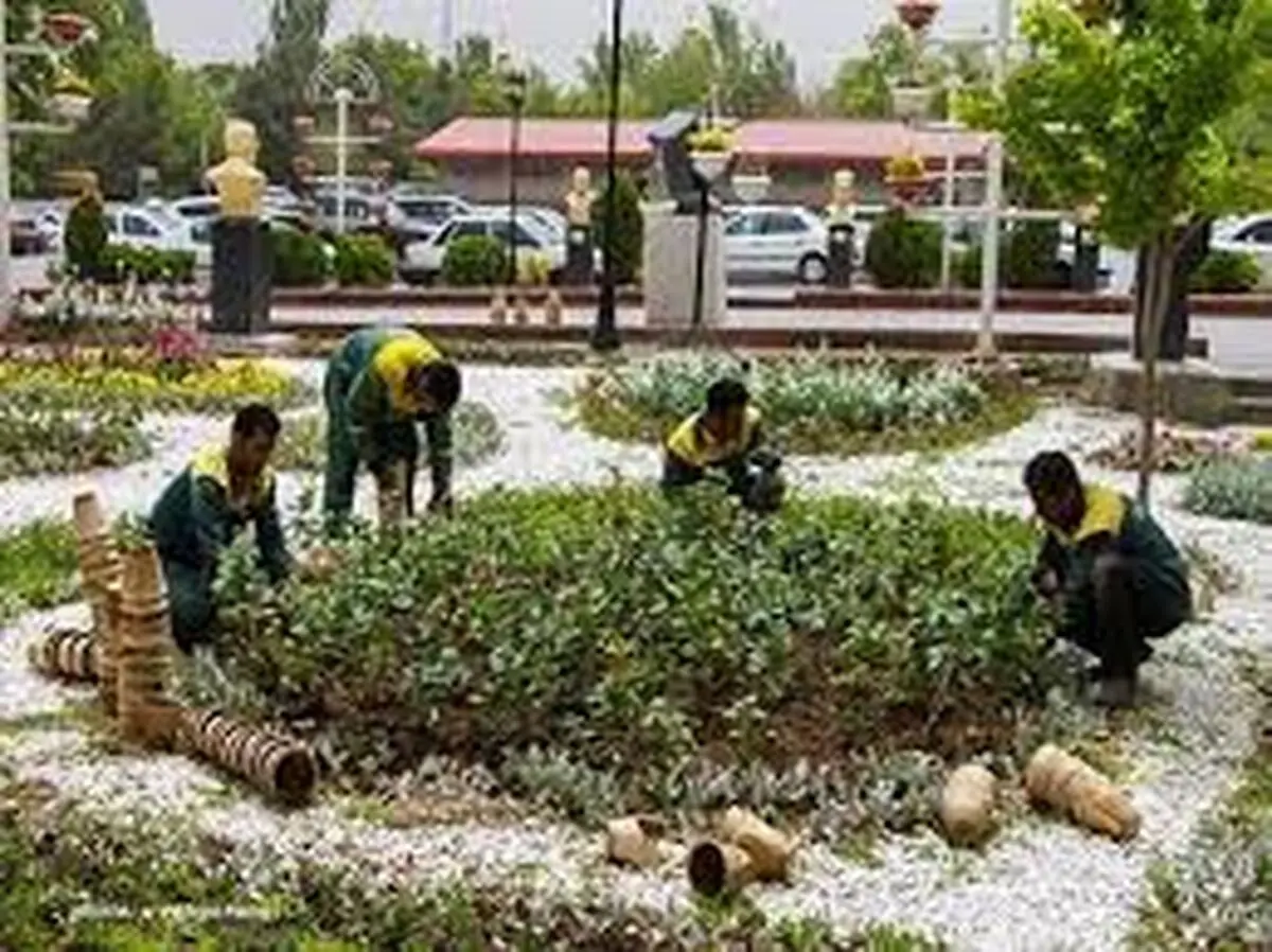 حقوق کافی و مزایای مزدی از کارگران فضای سبز دریغ می‌شود 