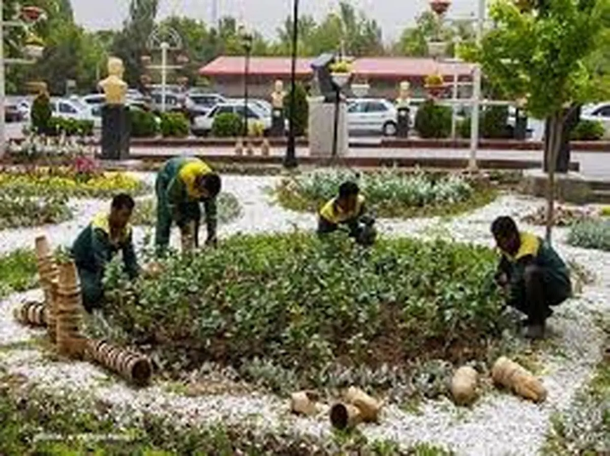 حقوق کافی و مزایای مزدی از کارگران فضای سبز دریغ میشود