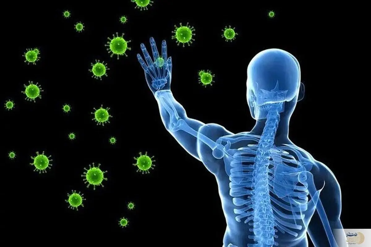 رمز سلامتی پایدار/ درک فرآیند ساخت سیستم ایمنی بدن 
