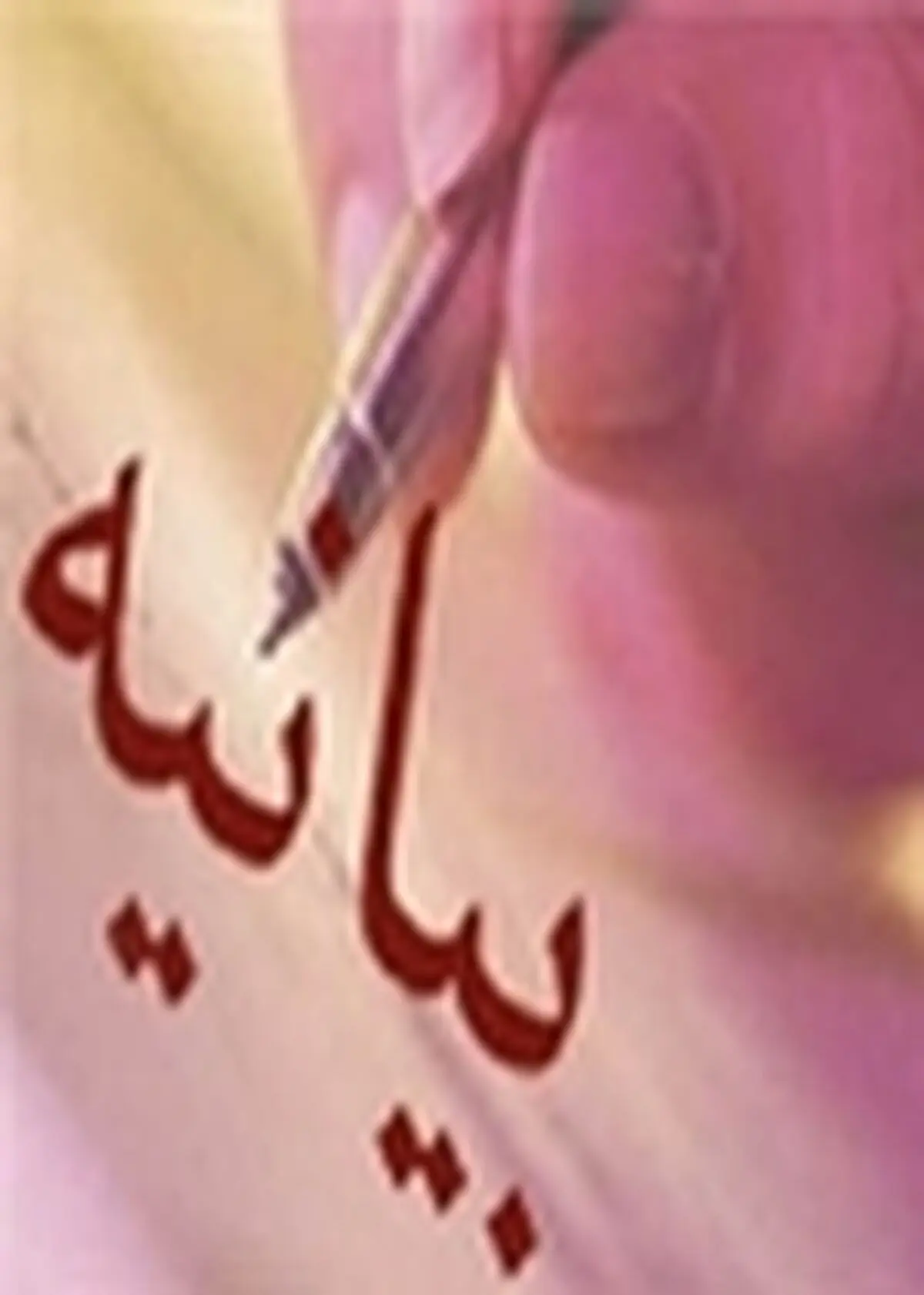 روز نهم دی ۸۸ شکوه پیوند ناگسستنی امت با امام خویش بود