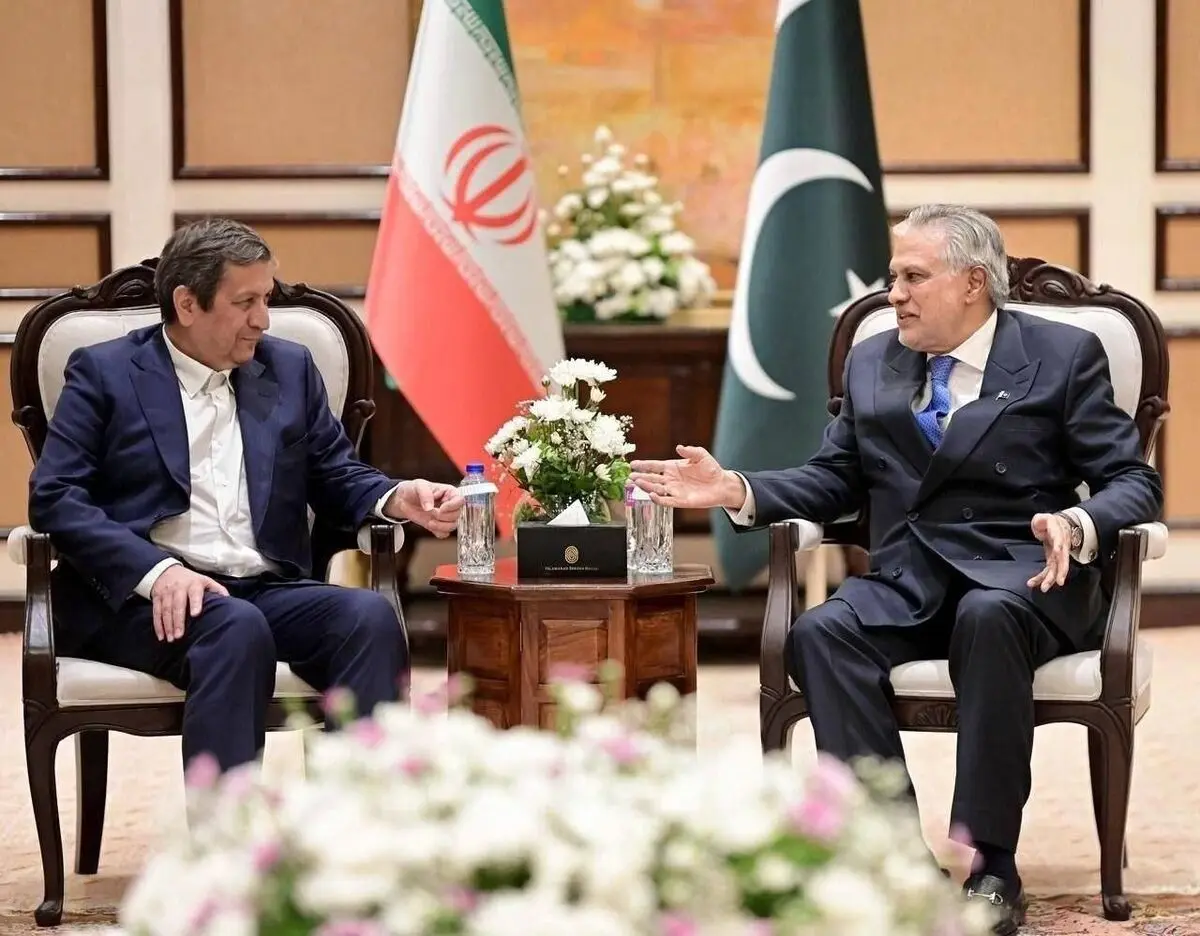 دیدار رئیس بانک مرکزی ایران، با معاون نخست‌وزیر پاکستان 