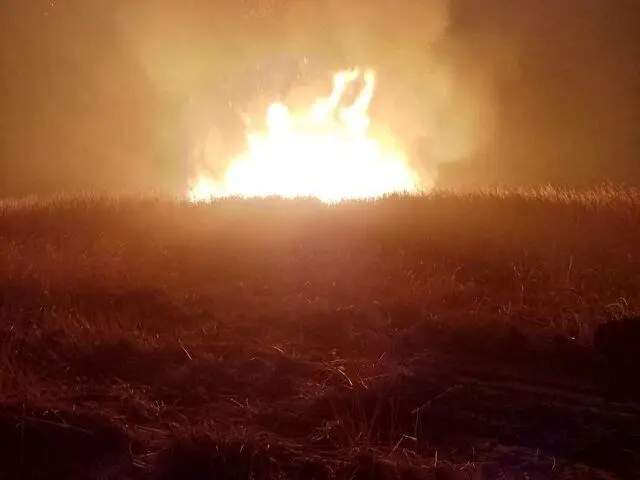 نزدیک به ۱۵ هکتار از نیزارهای تالاب حسنلو در آتش سوخت