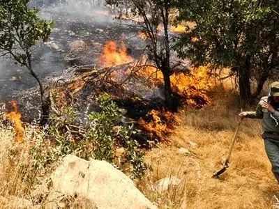 وقوع حادثه آتش‌سوزی در دامنه‌های کوهستانی جنگلی «شلم»