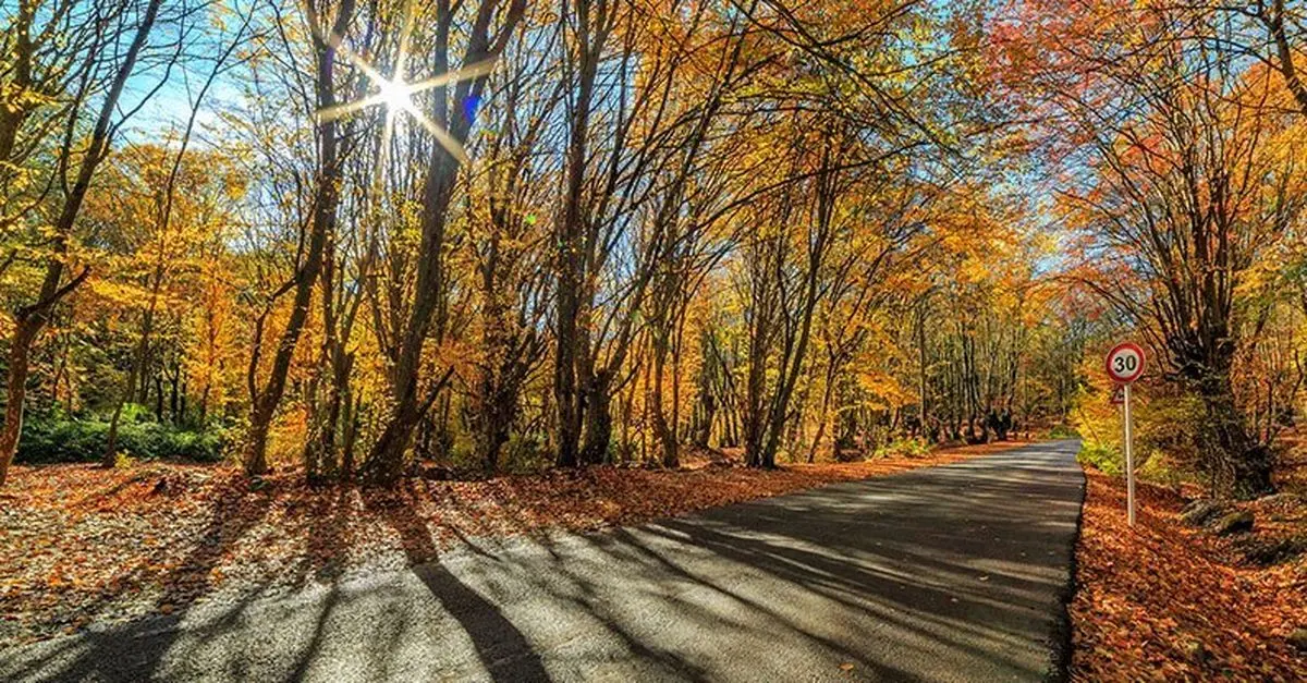 تداوم پایداری هوای نیمه‌های پاییز در گیلان