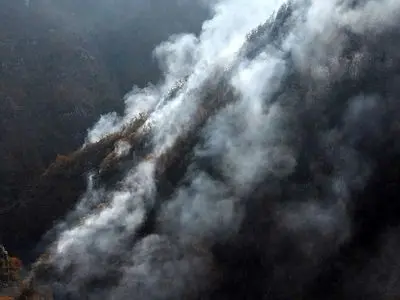 مسئولانی که در مهار آتش‌سوزی جنگل‌های هیرکانی الیت قصور کنند، طبق قانون مجازات می‌شوند