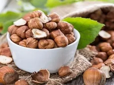 ۶ خاصیت فوق‌العاده فندق برای سلامتی