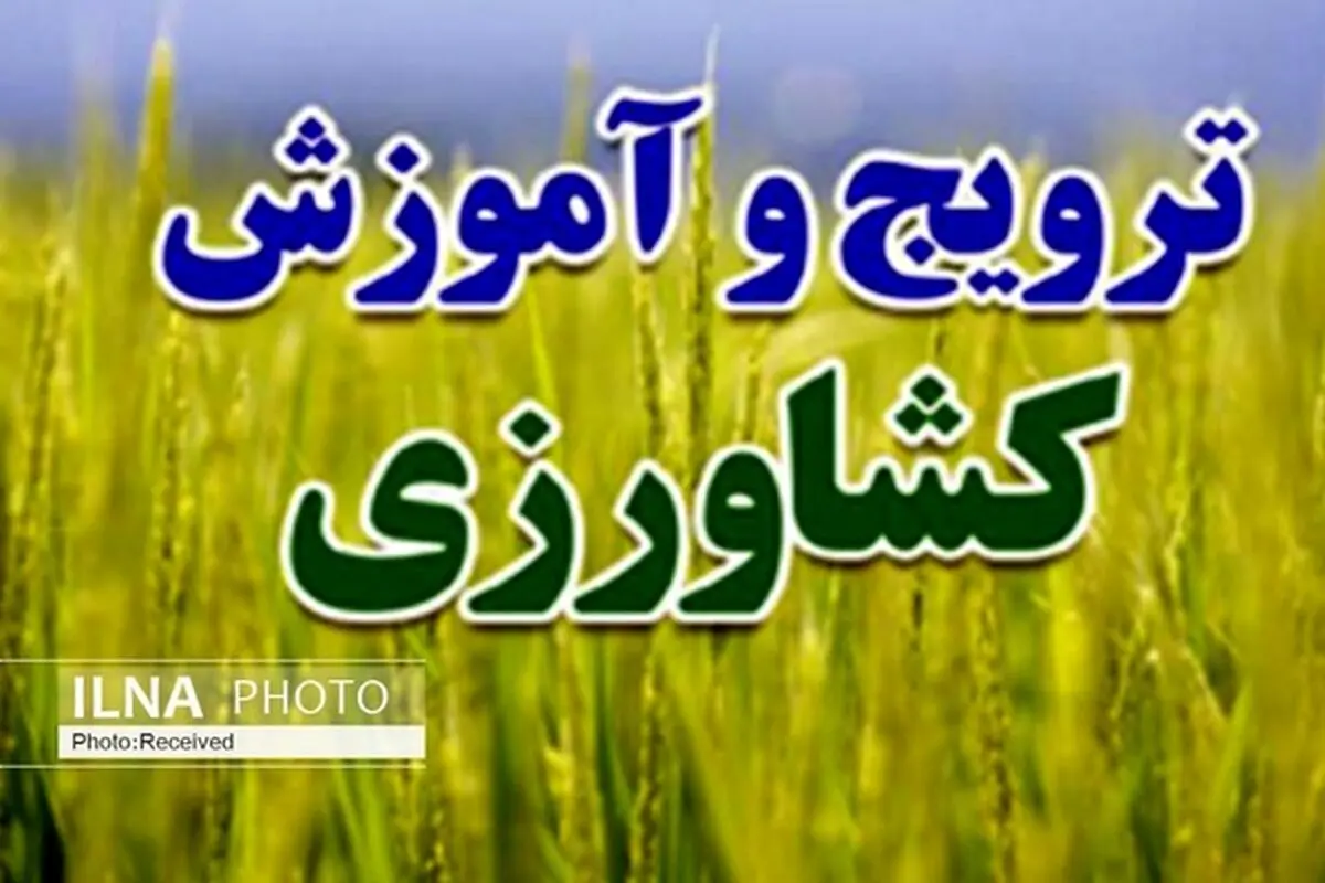 700 نفر روز آموزش‌های مهارتی کشاورزی در تاکستان ارائه شد