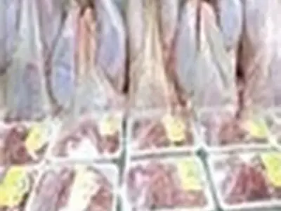 پایانه توزیع مرغ و مواد پروتئینی پردیسان کرج راه‌اندازی می‌شود