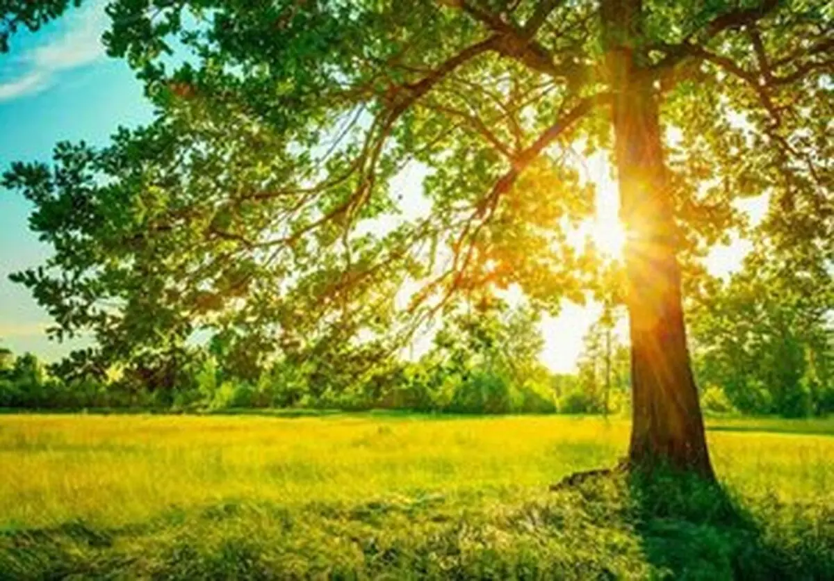 پیش بینی هوای صاف و آفتابی تا دوشنبه در مازندران 