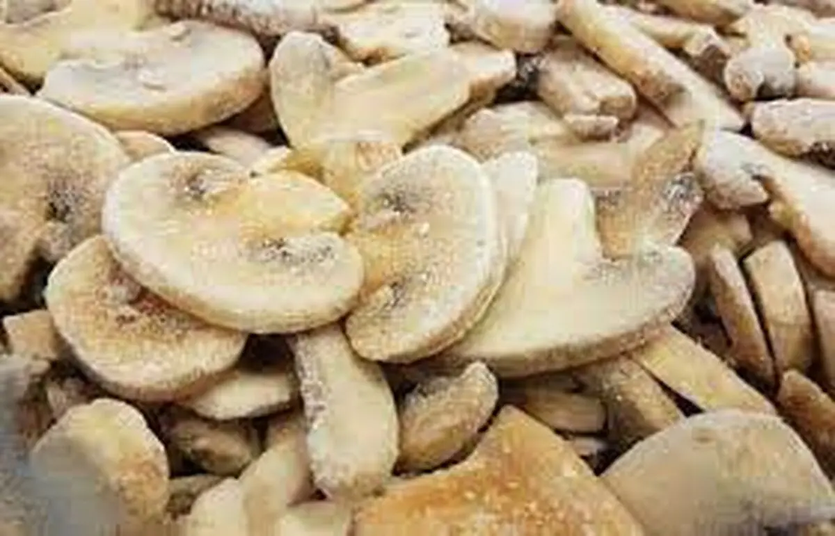 فریز کردن قارچ و روش استفاده از قارچ یخ زده