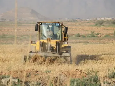 امحاء مزارع آلوده در شیراز از ۱۰۰۰ هکتار گذشت