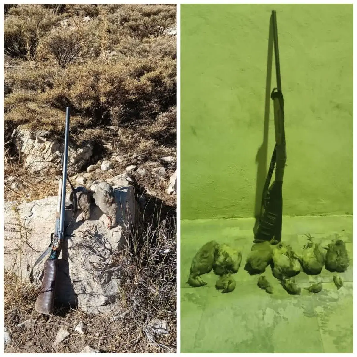 بازداشت متخلفان شکار غیرمجاز در شهرستان کوهرنگ