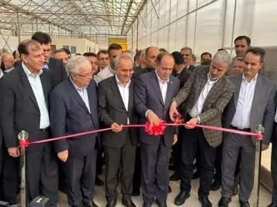 وزیر جهاد کشاورزی: لزوم کشت و تولید گلخانه ای در دوران کم آبی