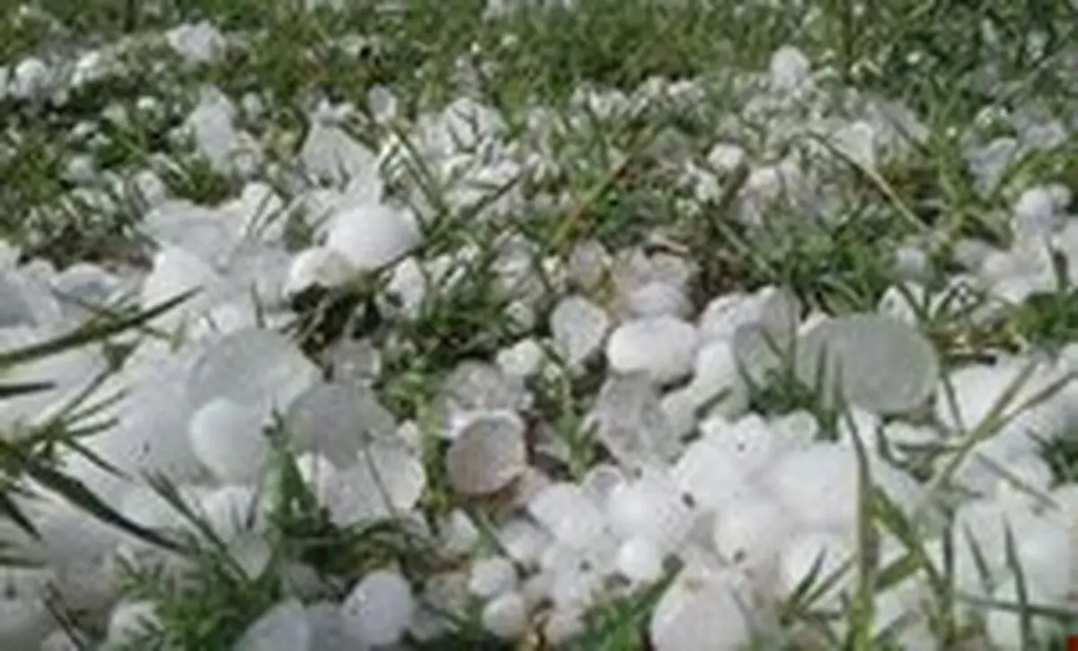 همکاری آلمان و ایران در زمینه تگرگ‌زدایی/ باروری ابرها، ارزان‌ترین شیوه استحصال آب