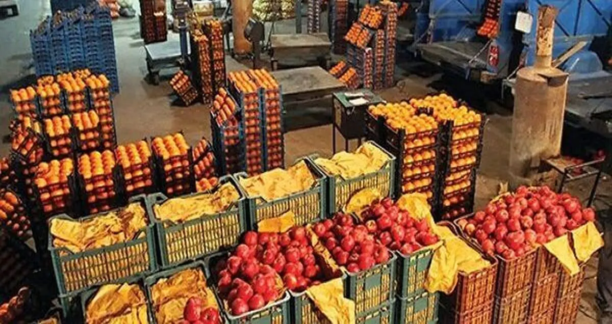 حجره‌داران تره‌بار به کسب‌وکار اصلی برگردند