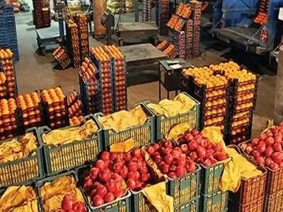حجره‌داران تره‌بار به کسب‌وکار اصلی برگردند
