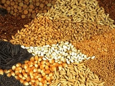 2800 تن نهاده‌های دامی در بین عشایر اردبیل توزیع شد