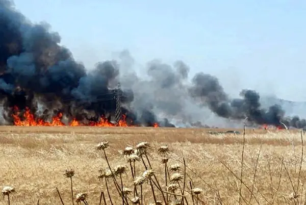 شعله‌های آتش ۱۵ هکتار از گندمزارهای گچساران را سوخت