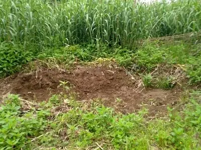 دست اندازی آب منطقه‌ای به حقوق مردم/دادستان مقابل قانون گریزی های آب منطقه‌ای گیلان بایستد