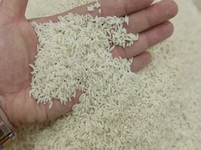 کشاورزان برنج را ۸۰ تومان فروختند امروز در فروشگاه ها به مردم ۲۰۰ تومان فروخته می شود