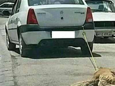 asdasd