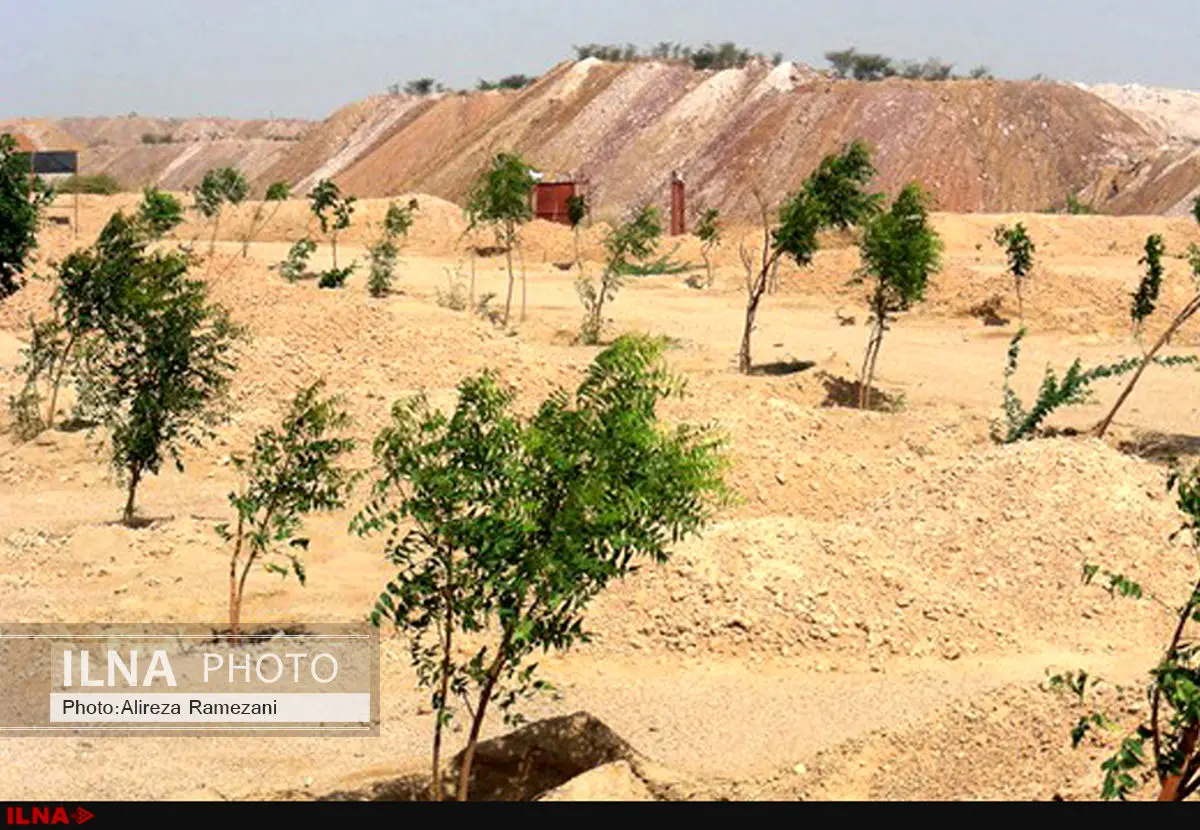 اجرای طرح عظیم جنگل‌کاری در مرز مهران به طول 100کیلومتر