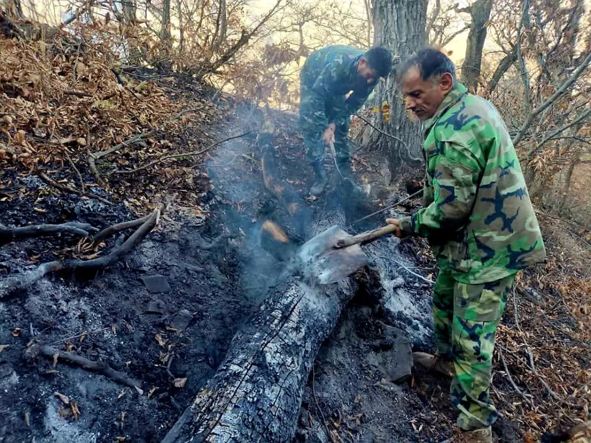 آتش‌سوزی در ارتفاعات روستای الیت مهار شد