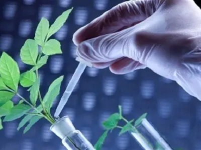 آغاز 15 طرح مطالعاتی در مرکز تحقیقات کشاورزی استان مرکزی