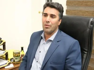 اصلاح و بازسازی بیش از 46 هزارهکتار باغ زیتون در برنامه ششم توسعه