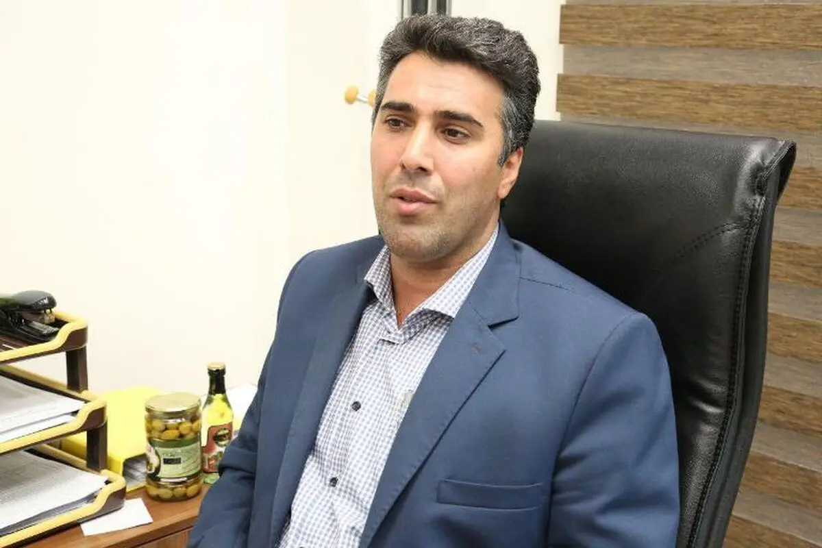 اصلاح و بازسازی بیش از 46 هزارهکتار باغ زیتون در برنامه ششم توسعه