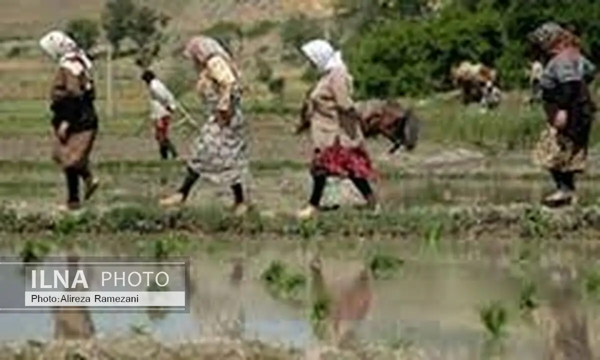 زنان روستایی نقش مهمی در کسب درآمد خانواده ایفا می‌کنند