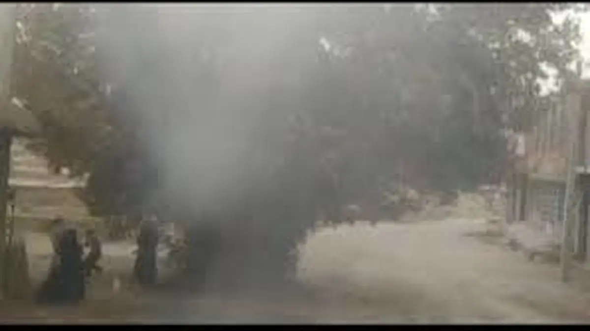 آتش‌سوزی درخت چنار ۱۲۰ساله چنارمحمودی مهار شد