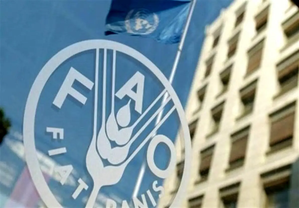 Iran and FAO sign a new project