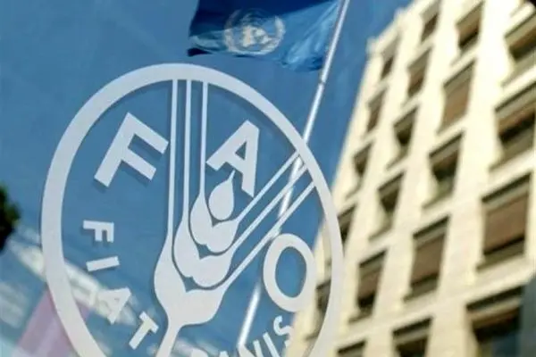 Iran and FAO sign a new project