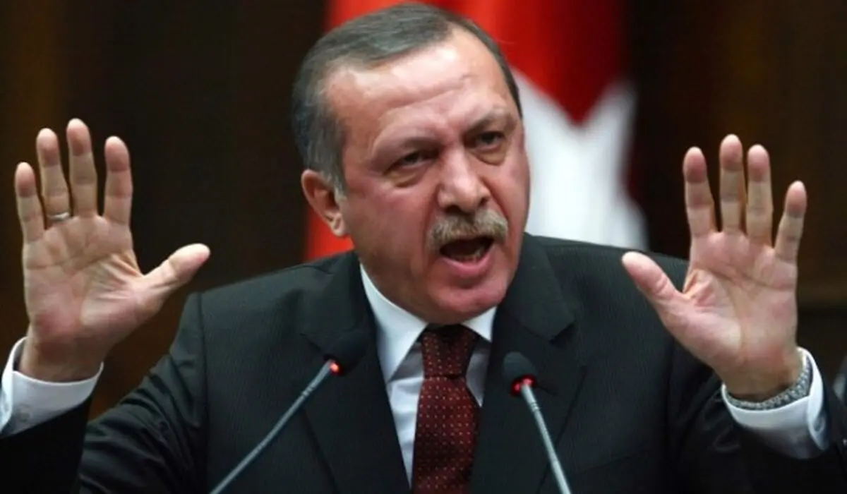 Turkey's Syria operation reveals cracks among Erdogan's political foes