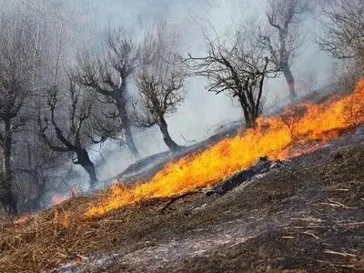  آتش‌سوزی در ارتفاعات جنوب خرم‌آباد/حریق بطور کامل مهار شد