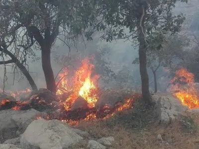 مهار آتش‌سوزی در جنگل ابر و پناهگاه حیات وحش خوش ییلاق شاهرود