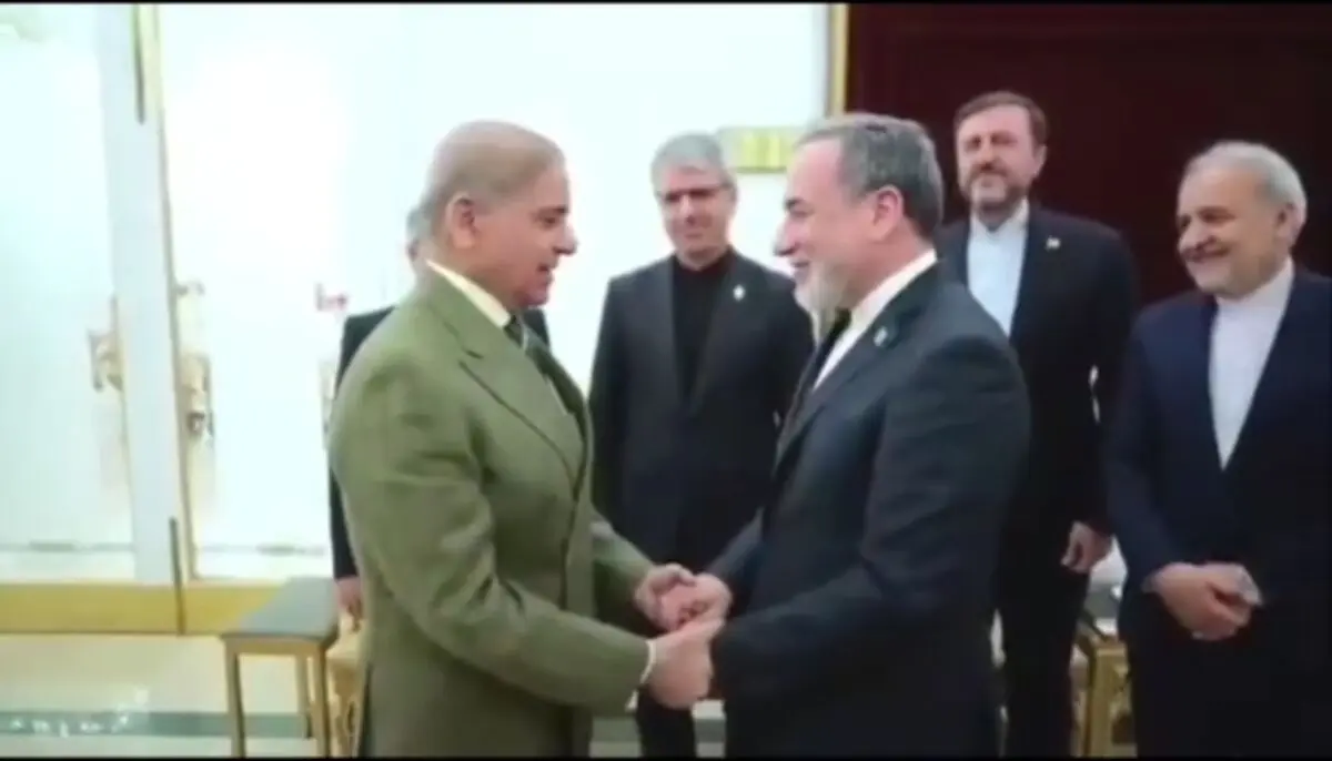 عراقچی با شهباز شریف دیدار کرد