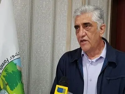 انجام ۲۰۰ هزار هکتار مطالعات جامع مقابله با طوفان‌های گرد و غبار تا پایان شهریور