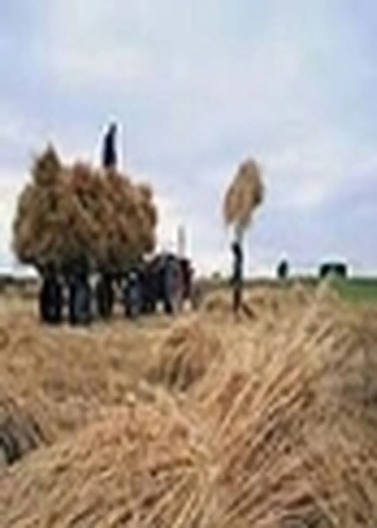 هشدار به کشاورزان خوزستانی