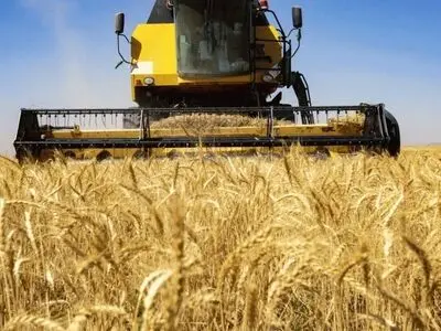 پیش‌بینی برداشت 350 هزار تن گندم از مزارع آبی و دیم استان مرکزی