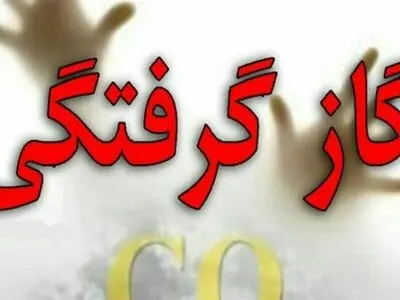 ۱۸ نفر در تالش در اثر گاز منوکسید کربن راهی بیمارستان شدند