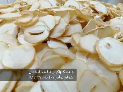 خرید موسیر کوهی و دشتی با بهترین کیفیت از هلدینگ زاگرس