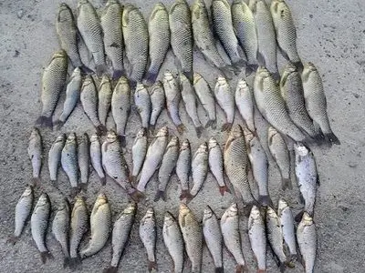asdasd