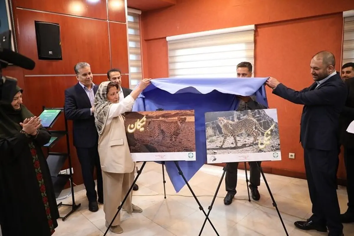 رونمایی از شناسنامه نیکان و نیکی؛ دو یوزپلنگ آسیایی 